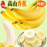 广西高山甜香蕉新鲜水果香甜软糯自然熟芭蕉banana包邮1/5/10斤