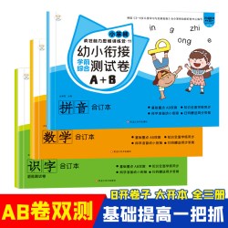 幼小衔接学前综合测试A+B每日一练拼音识字数学思维练习入学准备