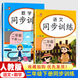 二年级下册同步专项训练小学语文数学课堂人教版练习册练习题测试