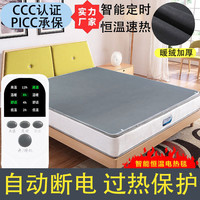 红楼梦 电热毯多功能加厚恒温智能定时双控大尺寸电褥子神器