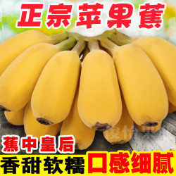 正宗广西苹果蕉新鲜水果10斤5斤2斤西贡蕉水果香蕉批发