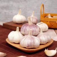 河南杞县紫白皮大蒜干蒜头特价产地直发晒干大蒜农产品