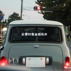 无所谓必要时我会胡吊开抖音网红同款搞笑车贴个性车尾后挡风玻璃