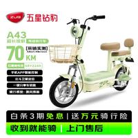五星钻豹 长续航 电动自行车