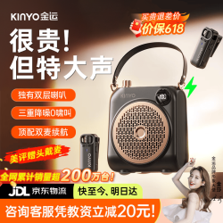 金运 小蜜蜂扩音器教师专用无线领夹麦克风一拖二教学讲课户外导游防啸叫M15 墨黑色