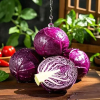 高原露天农家新鲜红甘蓝紫甘蓝沙拉菜买菜生鲜 0.8-1斤带箱（1个小小的）
