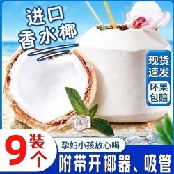 仙淘 现货进口椰青大果新鲜奶香椰子当季时令去皮孕妇水果整箱包邮