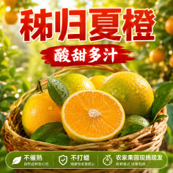 正宗湖北秭归夏橙4斤礼盒装现摘现发新鲜酸甜清新榨汁高山脐橙子