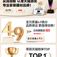立灿 不锈钢洞洞板加厚定制金属置物架免打孔挂墙磁吸厨房造型墙面挂板