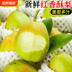 福意鲜 红香酥梨水果新鲜整箱当季包邮薄皮青酥梨脆蜜雪梨5香梨梨子
