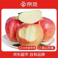 京觅 云南昭通丑苹果 12粒装 单果120g+