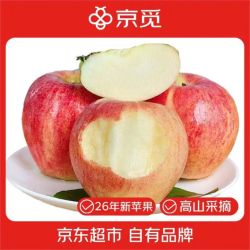 京觅 云南昭通丑苹果 12粒装 单果120g+