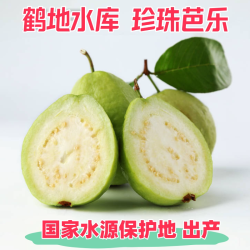 广东脆甜芭乐青脆口感清甜番石榴珍珠桃白心巴乐新鲜水果整箱包邮