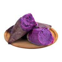 林大 山东糖心紫薯 4.5斤中果 新鲜蔬菜