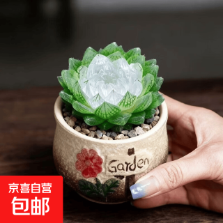 京喜 多肉植物精品玉露小盆栽带陶瓷花盆绿植花卉 宝莲灯玉露+草莓花盆+塑料托盘