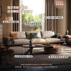 诚骏 意式极简真皮沙发别墅大平层客厅家具原创轻奢风直排沙发组合