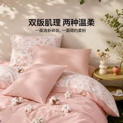 LOVO 罗莱家纺 全棉四件套100%纯棉床单被套双人床上用品220*240cm