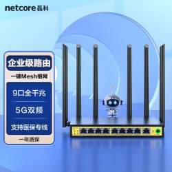 磊科 多WAN口 企业级无线路由器