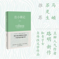 出小镇记 书写小镇青年成长的疗愈之书;一座江南小镇的旧日流金 一个时代的步履不停;潘向黎马頔推荐 译林出版社正版直发