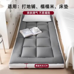 雅妤 地垫睡垫地铺榻榻米专用床垫软垫家用卧室可折叠防潮单人床纤维