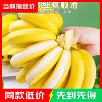 正宗高山香蕉 青蕉发货 自然熟更好吃 香蕉带箱4斤单根蕉
