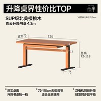 小半 家具实木书桌樱桃木双电机办公电脑桌现代简约书房电动升降桌