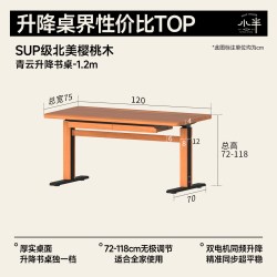 小半 家具实木书桌樱桃木双电机办公电脑桌现代简约书房电动升降桌