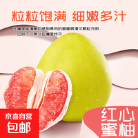 正宗福建红心蜜柚 5-6粒装（净重9-10斤）