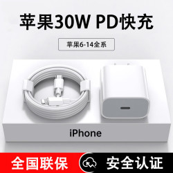 今典 30W快充 苹果充电器套装  线充套装 单口 30W