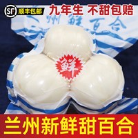 吉鲜匠 兰州鲜百合 500g