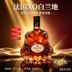 麦赫伦 法国进口XO白兰地 40%vol 700mL 礼盒装