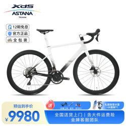 喜德盛 新款RS7碳纤维综合型公路自行车24速双盘带功率计碳轮