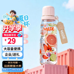 迪士尼 水杯儿童6-12岁上学专用直饮杯650ml大容量塑料杯礼物水壶