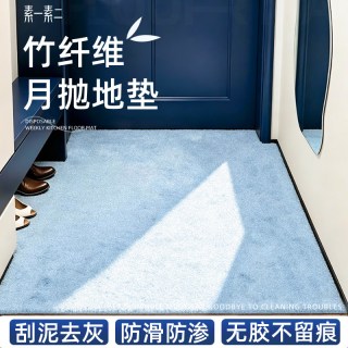 素一素二 入户门地垫进门地毯门口家用门垫防滑入户玄关脚垫可裁剪