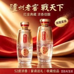 泸州老窖 52度 浓香型白酒500mL 2瓶 礼盒装