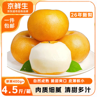 京鲜生 冰糖秋月梨 净重1.5kg 单果270g+ 生鲜水果