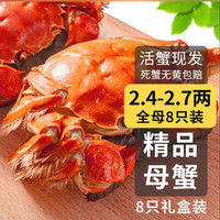 乾澄 大闸蟹 活蟹 全母蟹2.4-2.7两 8只 去绳足重六月黄螃蟹海鲜礼盒源头直发