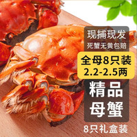 乾澄 大闸蟹 活蟹 全母蟹2.2-2.5两 8只 去绳足重鲜活螃蟹海鲜中秋礼盒源头直发