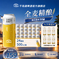 千岛湖啤酒 啤酒全麦精酿罐装酒500ML*24听精酿