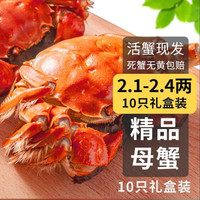 乾澄 大闸蟹 活蟹 全母蟹2.1-2.4两 10只 去绳足重鲜活六月黄螃蟹海鲜礼盒装