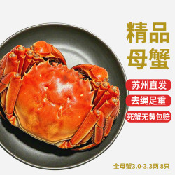 乾澄 大闸蟹 活蟹 全母蟹3.0-3.3两 8只 净重鲜活六月黄螃蟹生鲜礼盒源头直发
