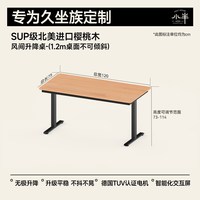 小半 家具樱桃木电动升降桌实木办公电脑桌小户型可倾斜学习桌子