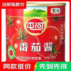 屯河 新疆内蒙番茄酱 198g*1罐