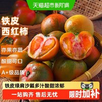 移动端、88VIP：京运达 正宗丹东铁皮西红柿东北新鲜绿腚水果番茄碱地草莓柿子 1斤*1箱