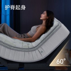 金可儿 智能床电动床多功能现代主卧双人床内嵌床 精智2.0