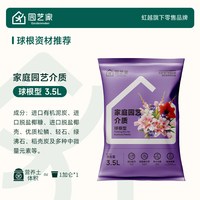 虹越 阿弗雷朱顶红种球 单瓣重瓣 南非 园艺花卉
