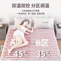 绮莲 双人双控调温防水智能定时电热毯