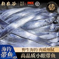 轩农谷 野生海钓小眼带鱼 500g 冷冻生鲜