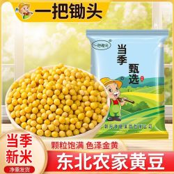 一把锄头1斤5斤东北笨黄豆新鲜大豆非转基因大豆子豆浆原料早餐