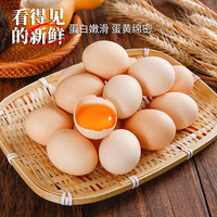 臻选鲜鸡蛋 40g±5g/枚 10枚